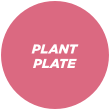 03_plantplate-2x